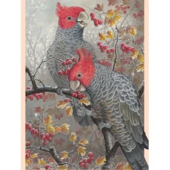 Shirley Barber – Gang-Gang Cockatoos 1000 Piece Puzzle