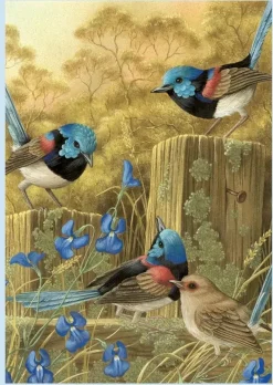 Shirley Barber – Red-Winged Fairy Wrens 1000 Piece Puzzle