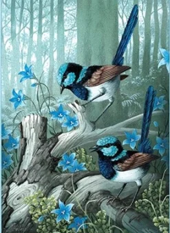 Shirley Barber – Superb Fairywrens 1000 Piece Puzzle