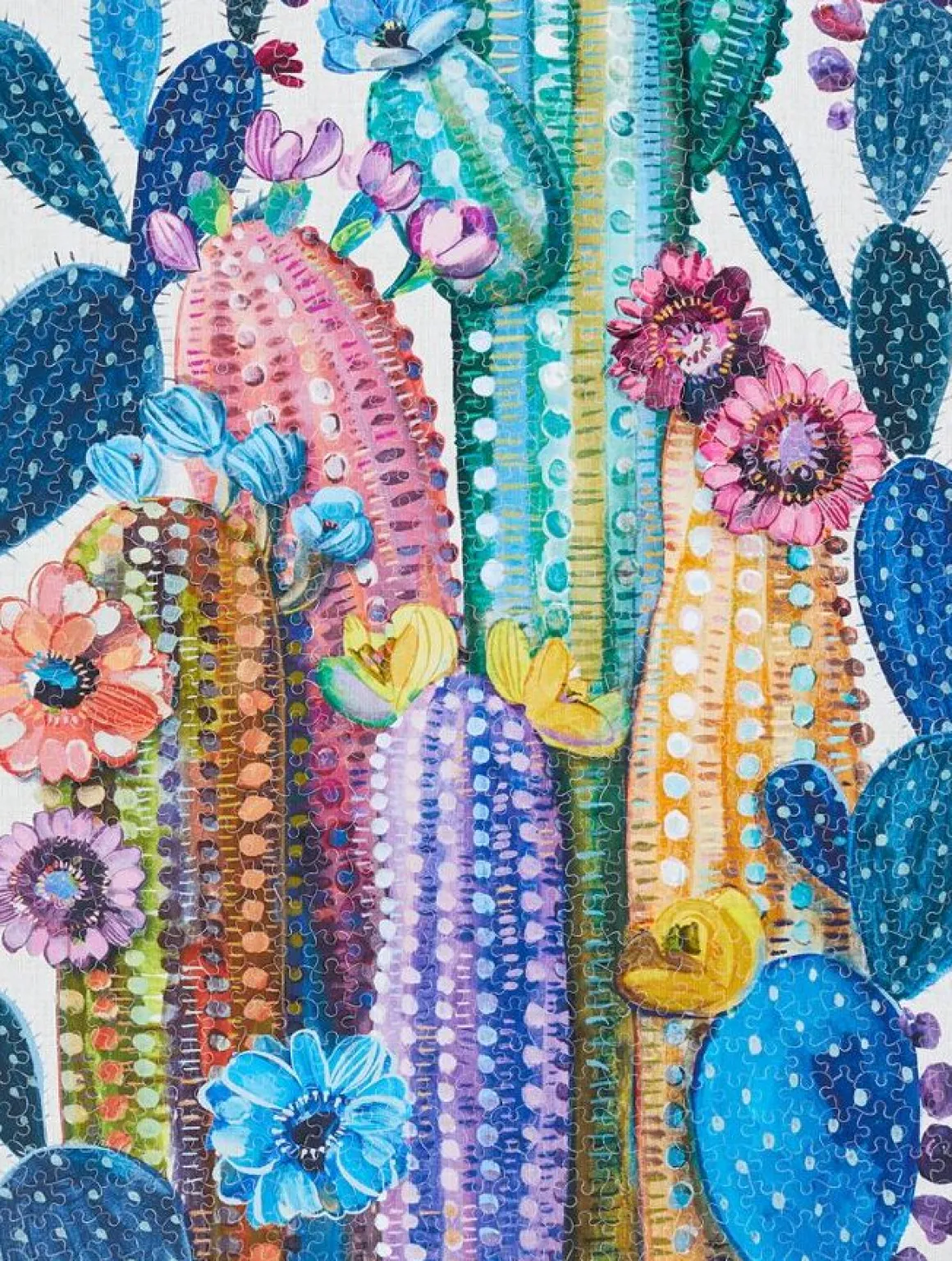 Werkshoppe – Desert Bloom 1000 Piece Puzzle